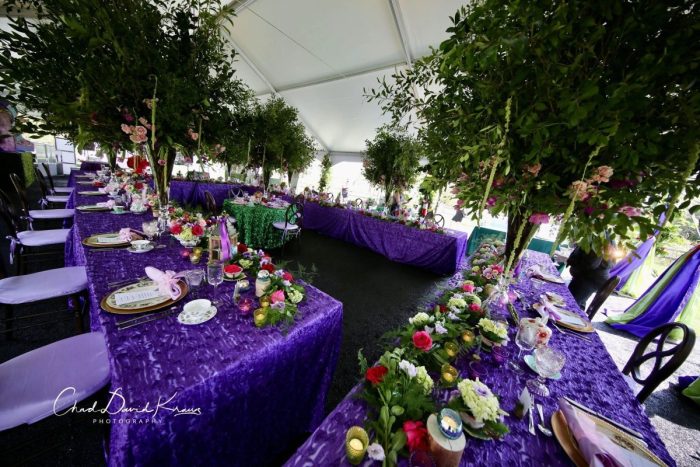 AllieInWonderland Decor FoodDrin11 (1) (1)